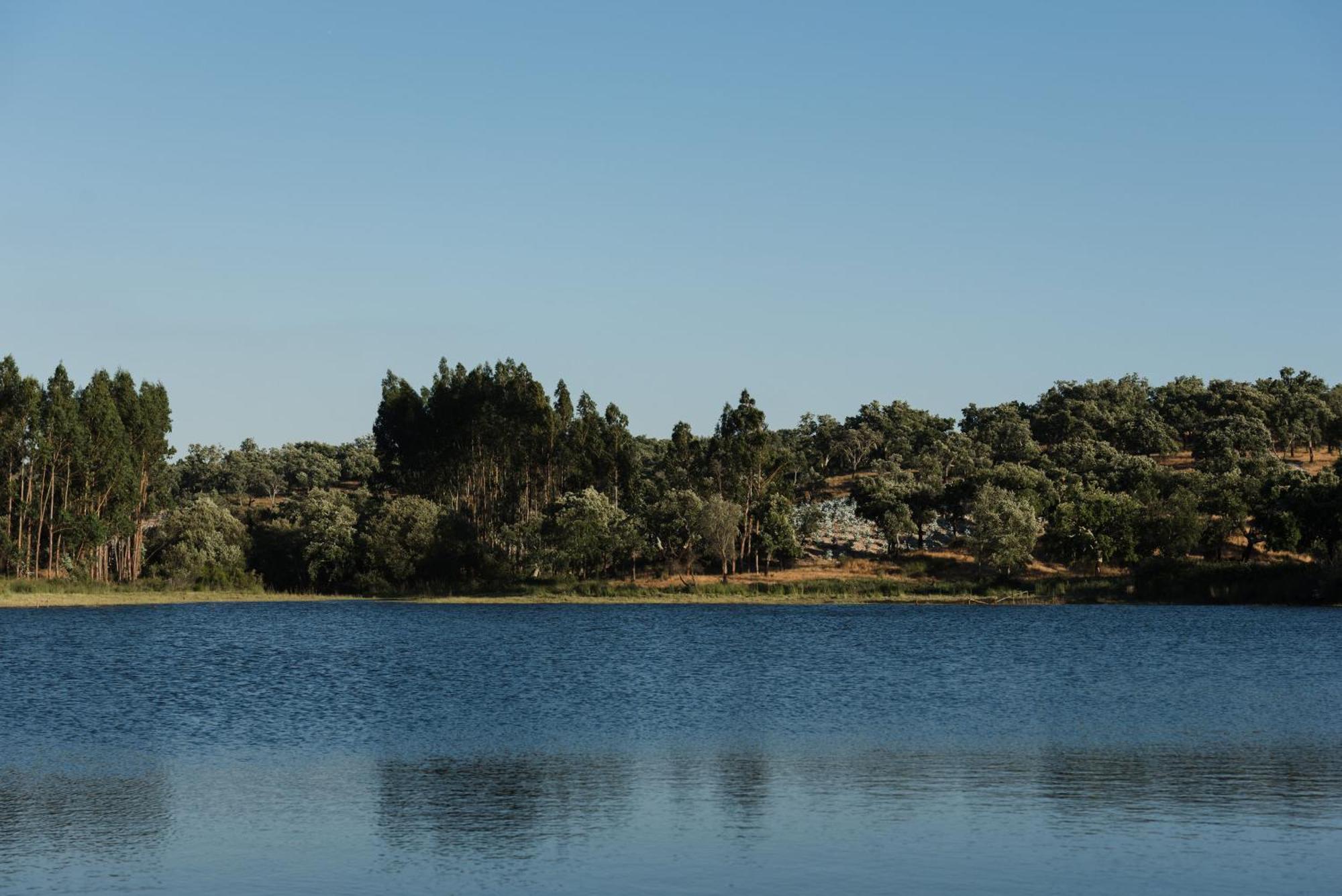 Apartment Nature Forest - Herdade De Martingil Chouto